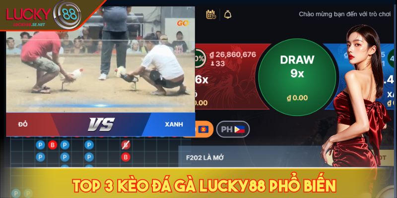 Top 3 kèo đá gà LUCKY88 phổ biến